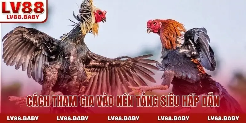 Cách tham gia vào nền tảng siêu hấp dẫn
